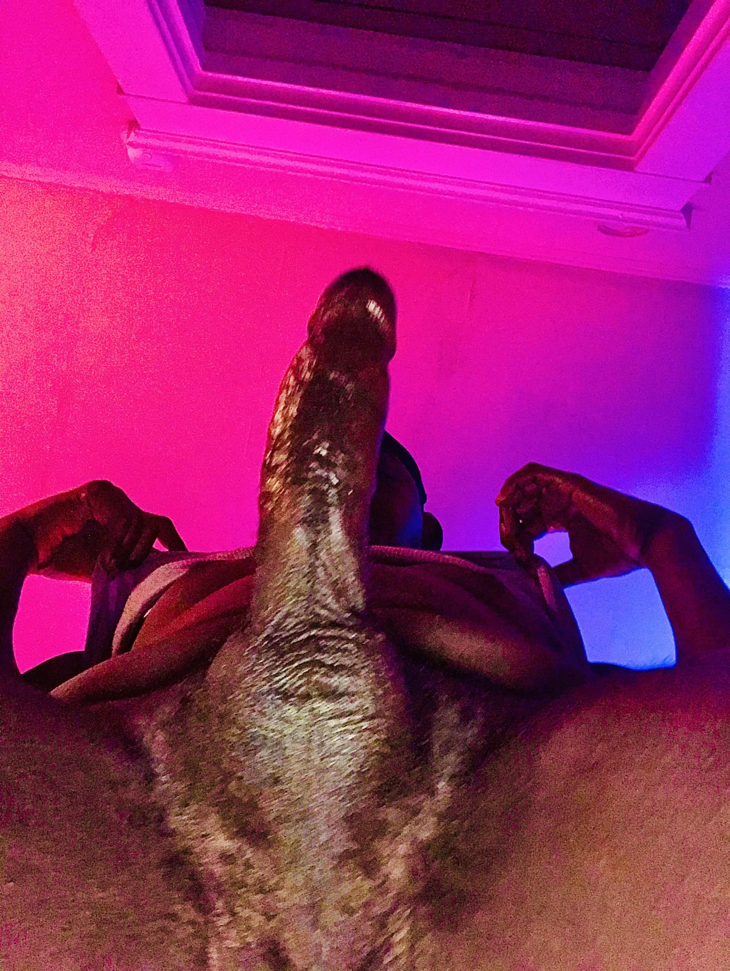 Morning wood. Morning wood.
