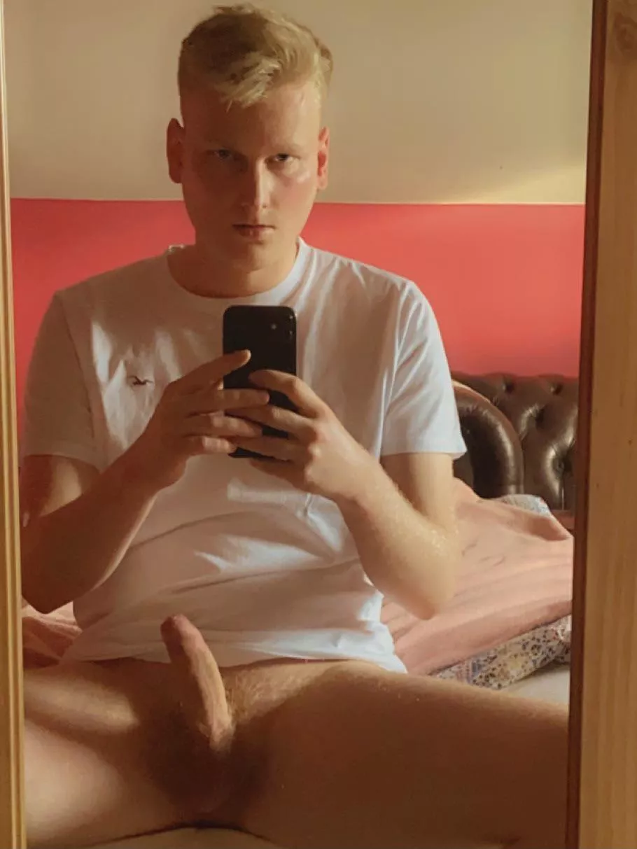 Morning wood Morning wood