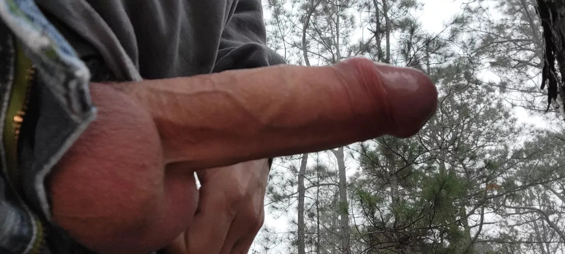 Morning wood while hunting