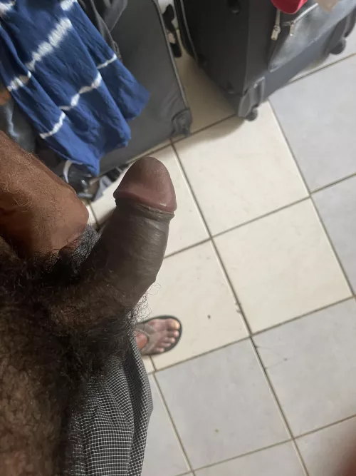 Morning woody