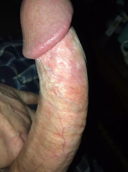 Morning Woody m