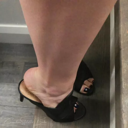 Mules Monday