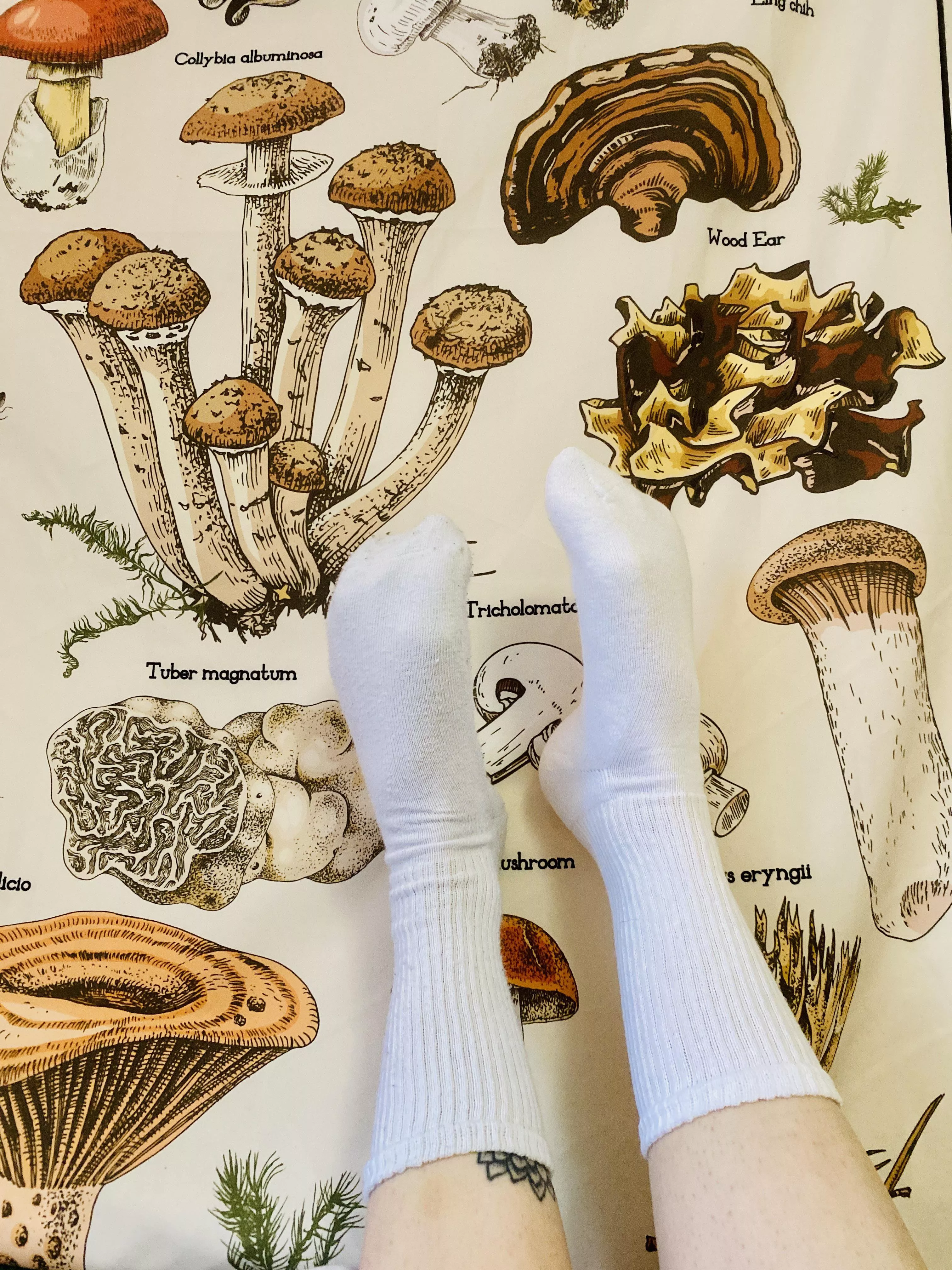 mush love 🧡 hope everyone has a wonderful day 💛✨