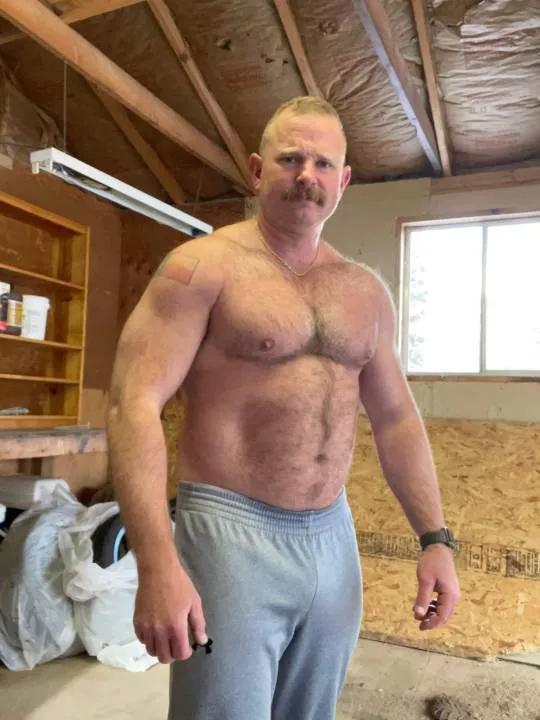 mustache in grey mustache in grey