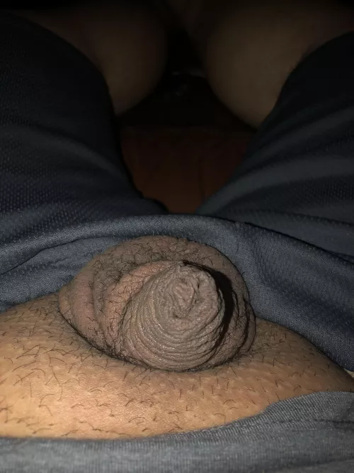 My [40] tiny little dick.