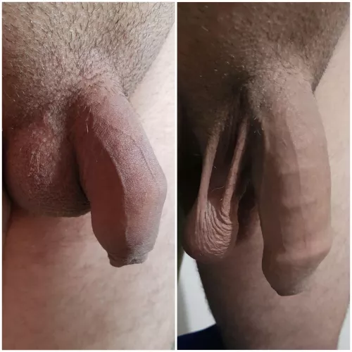 My balls contracted x low My balls contracted x low