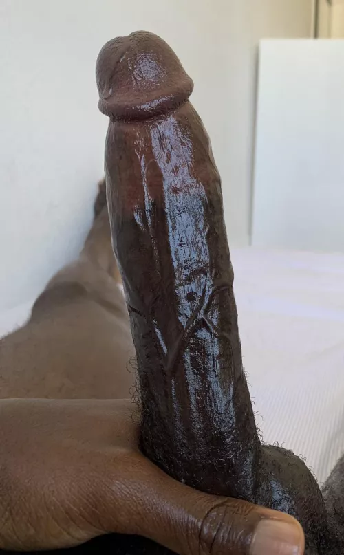 My bbc