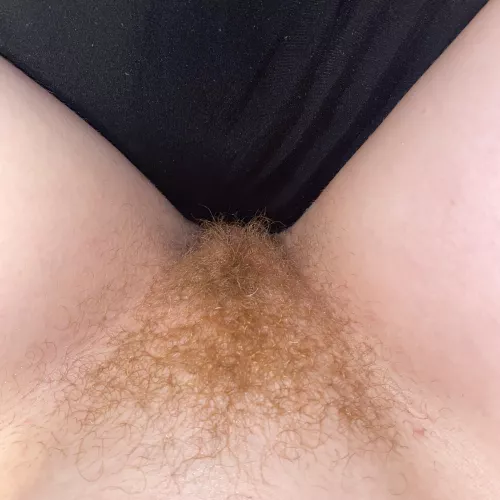My bf wants me to shave my ginger bush :( My bf wants me to shave my ginger bush :(