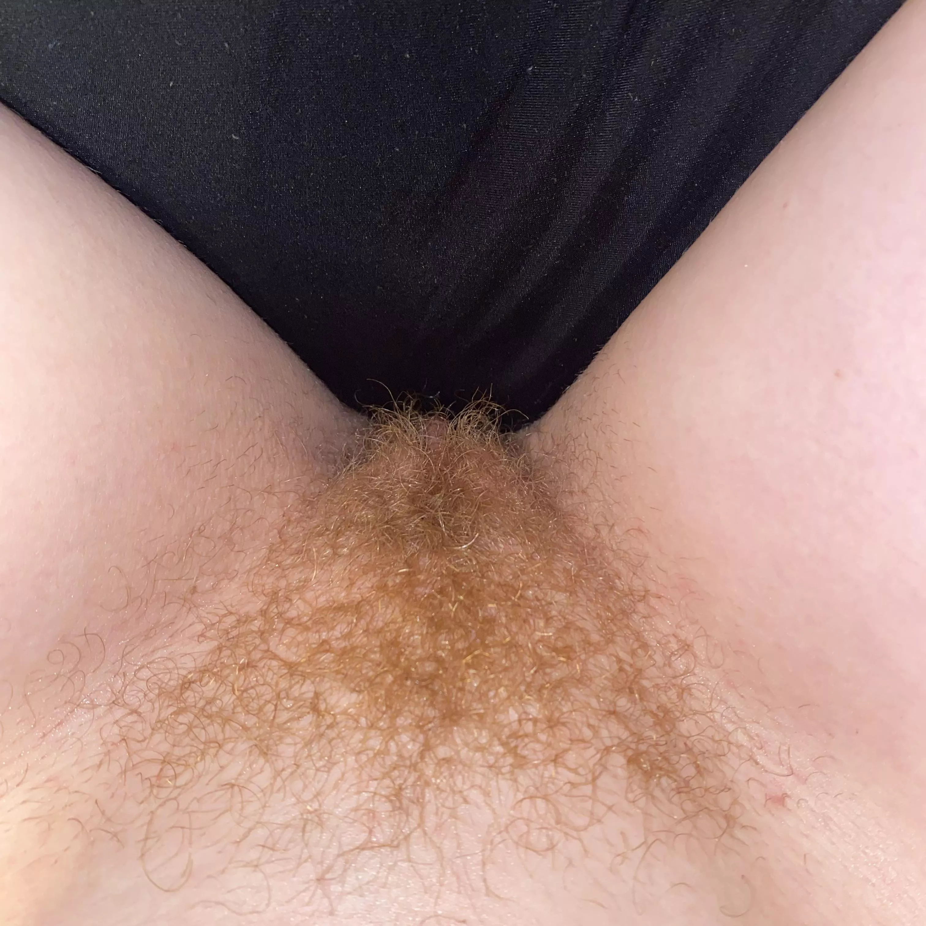 My bf wants me to shave my ginger bush :(