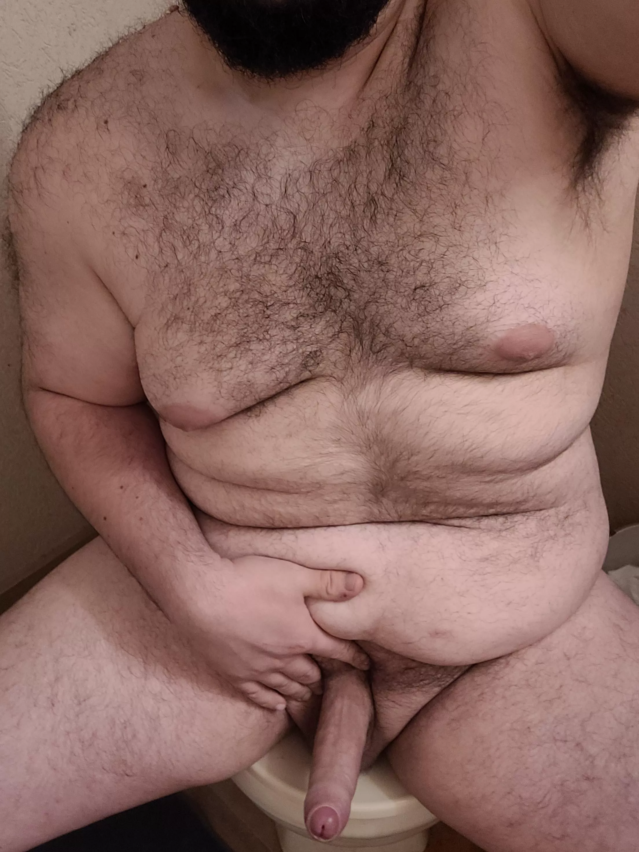 My big friend says hi 😉