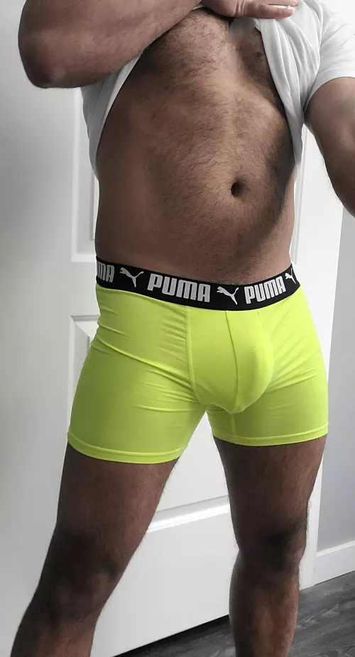 My bulge in these always makes me sing