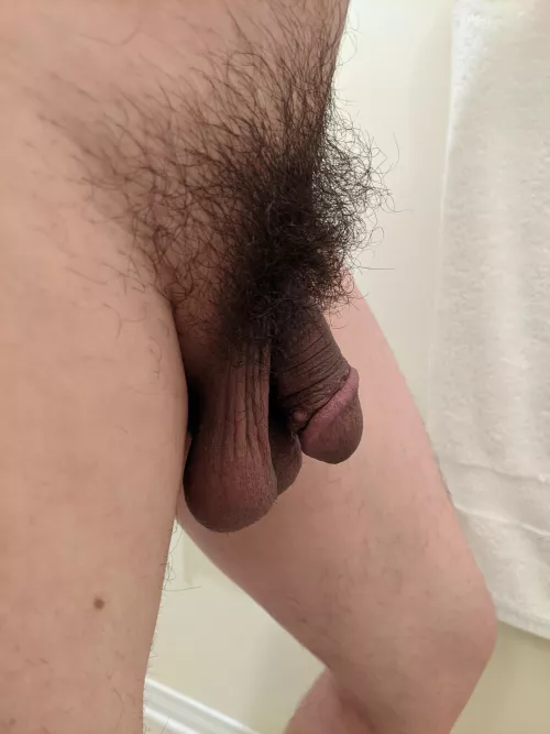 My bush - first time post