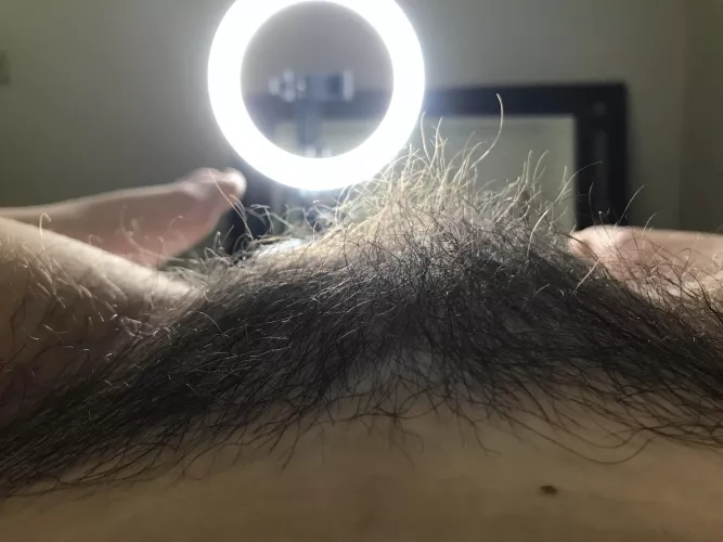 My bush is ridiculous!