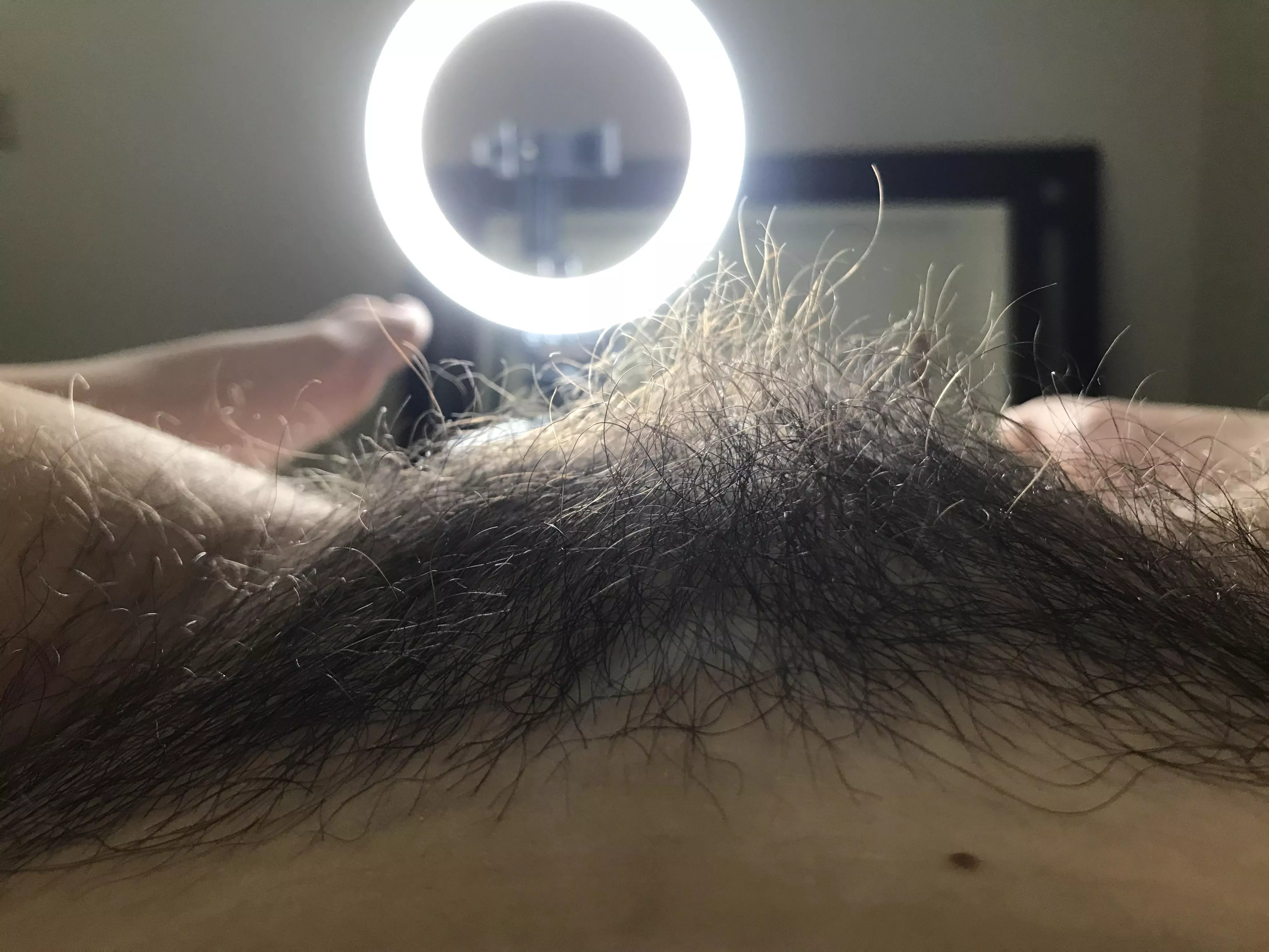 My bush is ridiculous! My bush is ridiculous!