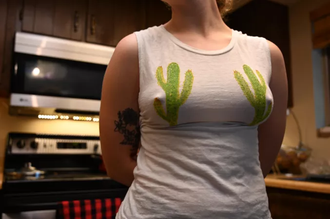 My cacti are in full bloom today π