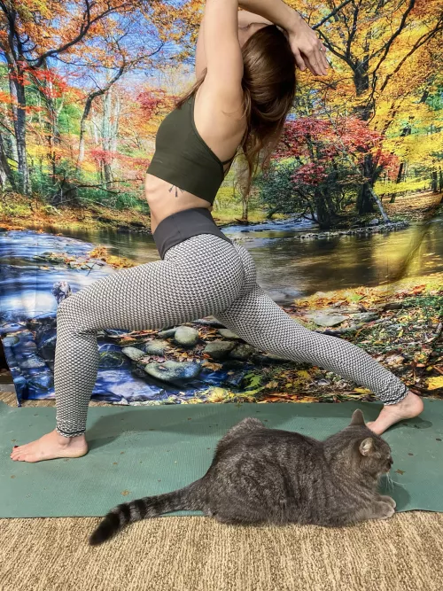 My cats are always joining me for morning yoga🧘♀️ 😁 My cats are always joining me for morning yoga🧘♀️ 😁