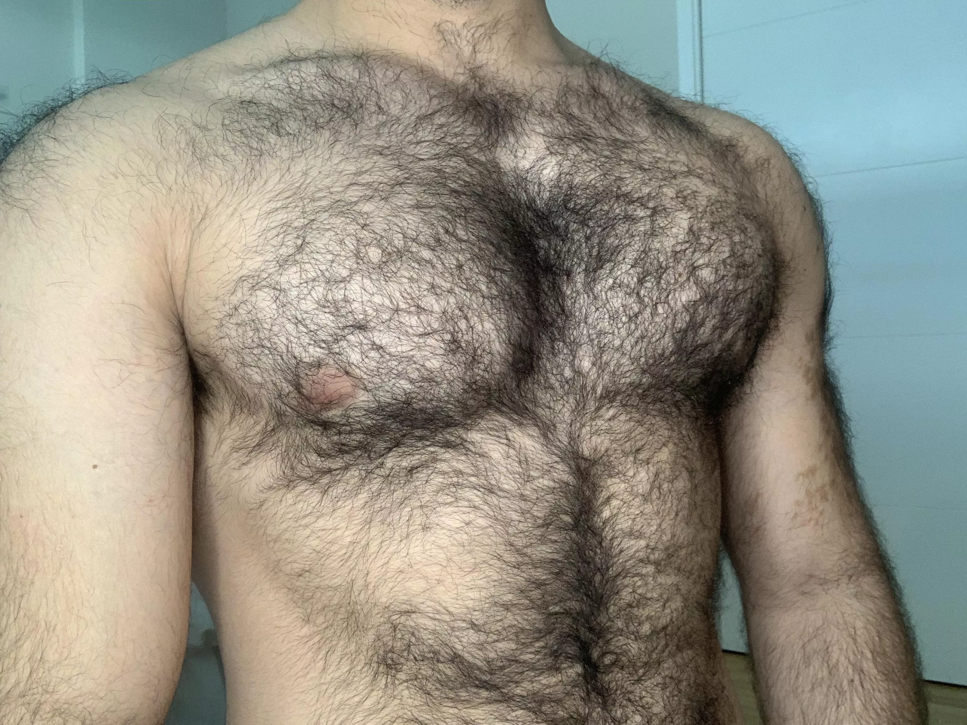 My chest is hairy I think My chest is hairy I think