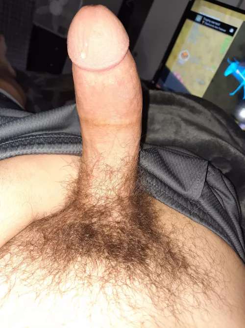 My cock before I decided to shave. Should I grow it out again?