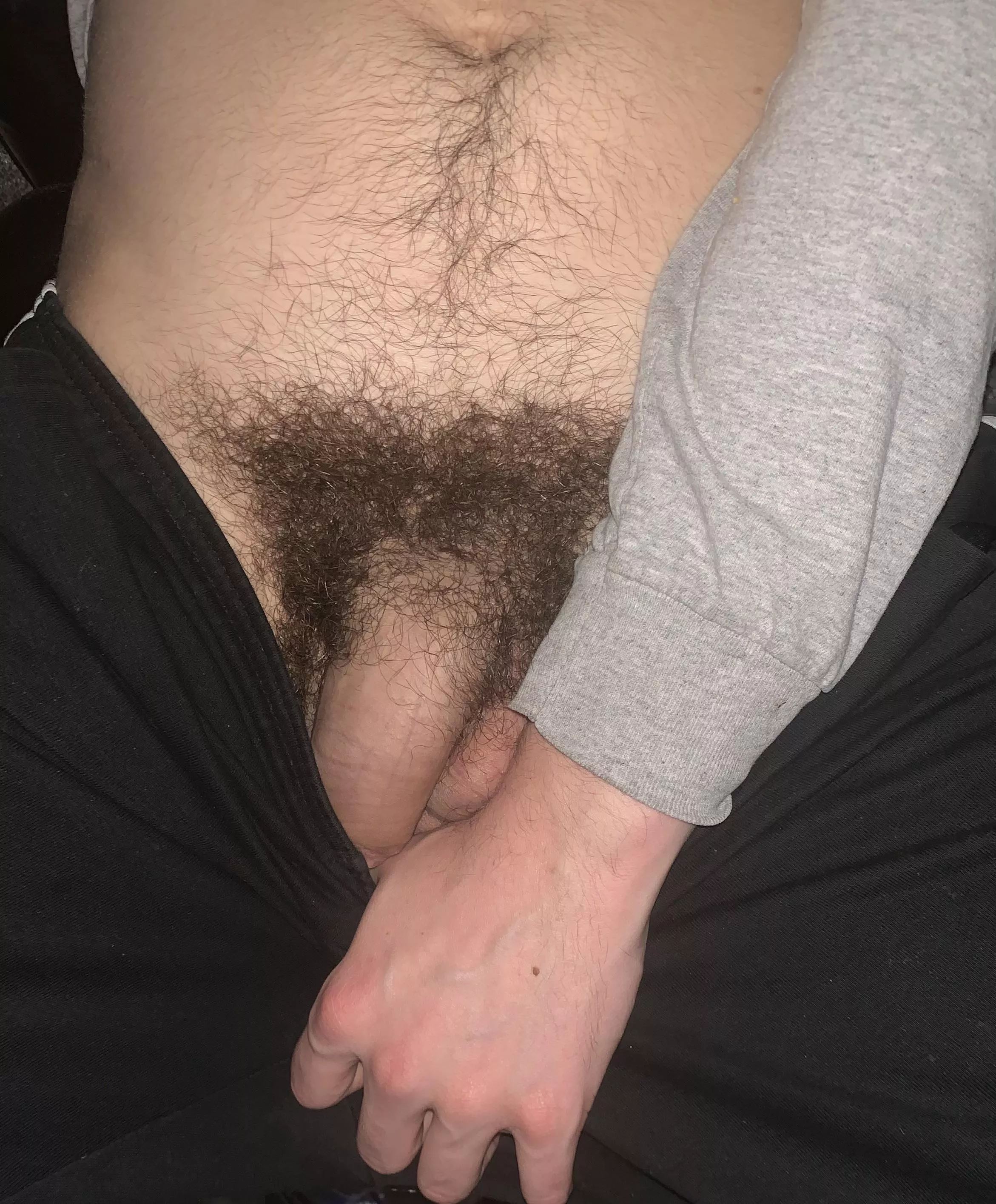My cock is so hairy My cock is so hairy