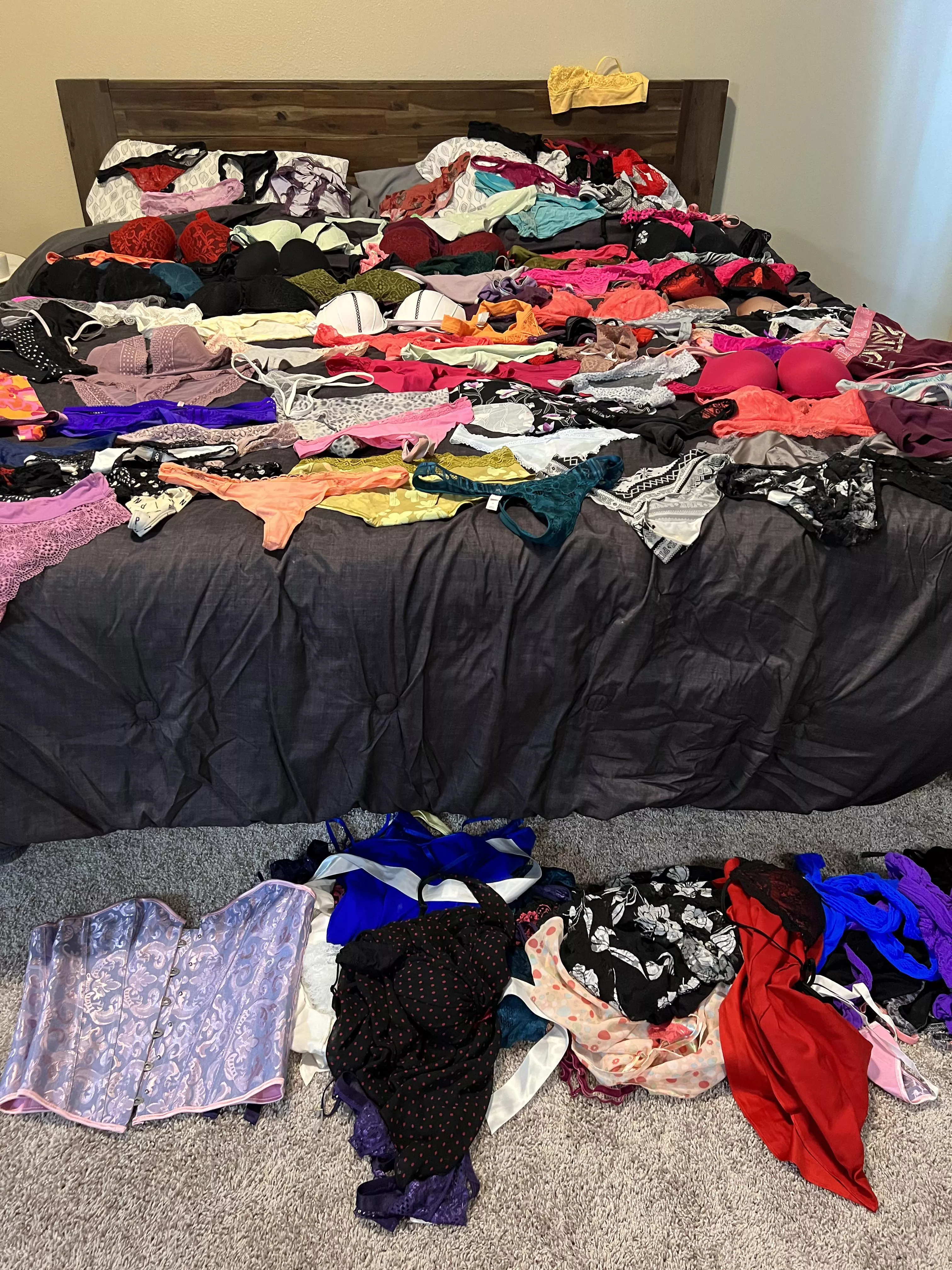 My collection so far.