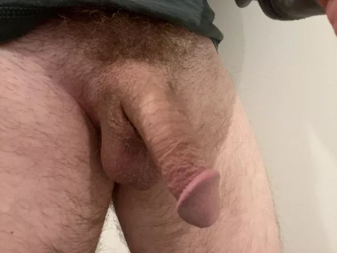 My cut softie