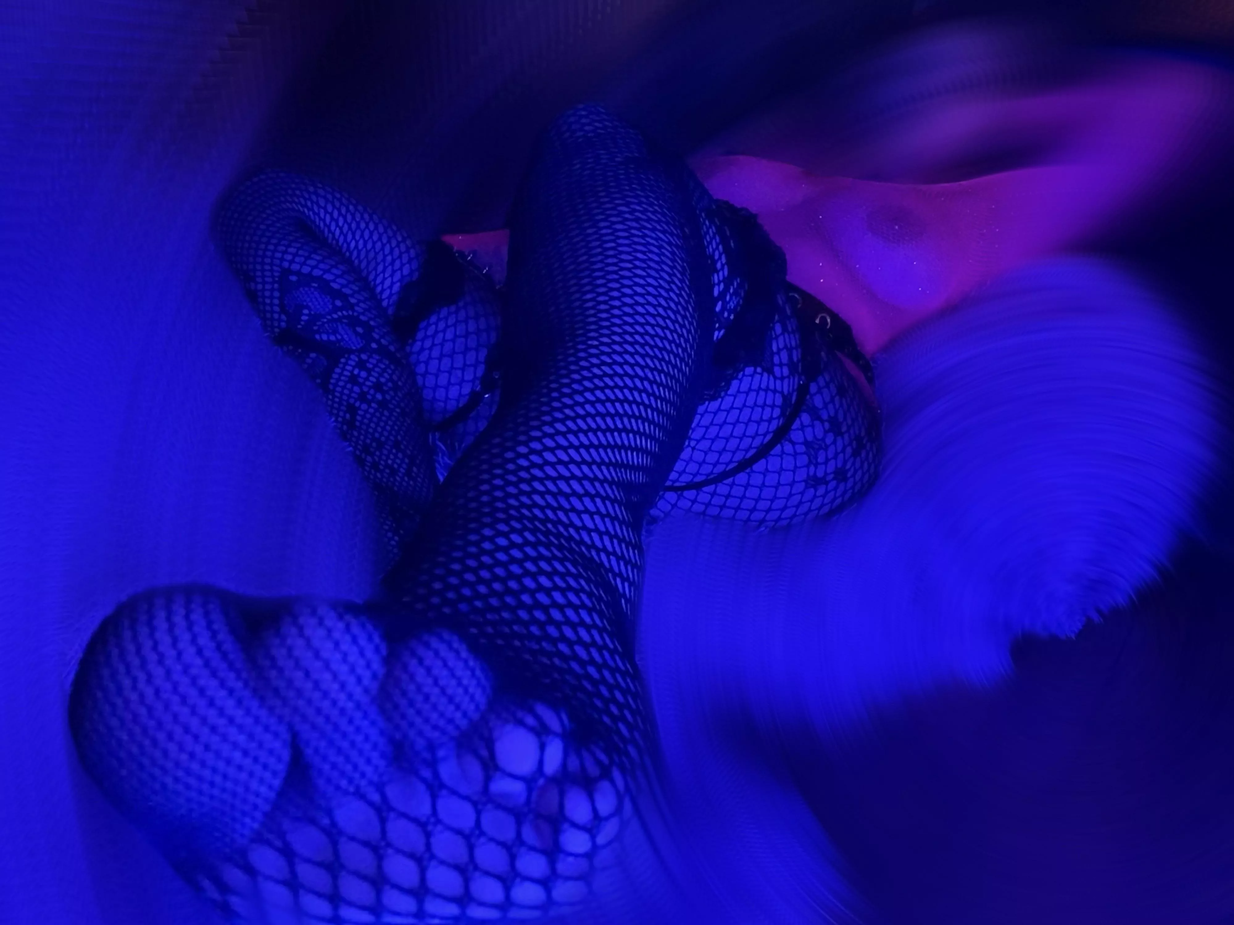 my cute new fishnets my cute new fishnets