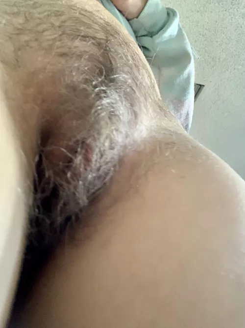 My daily bush pic. Enjoy