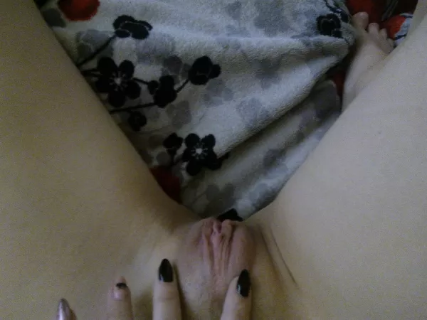 My ex's tight shaved pussy My ex's tight shaved pussy