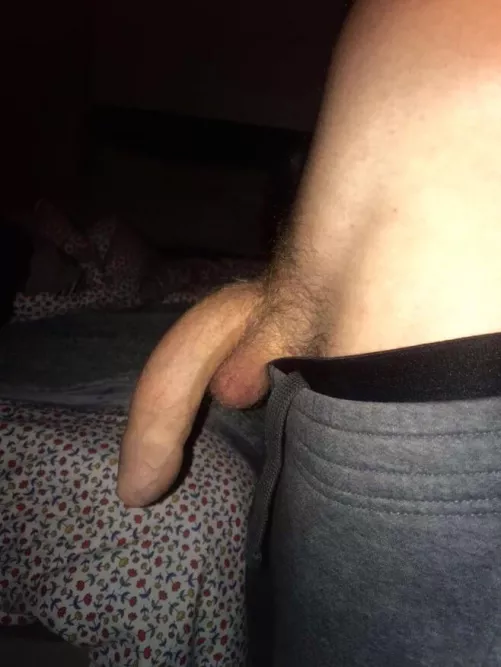 My fat hooded cock