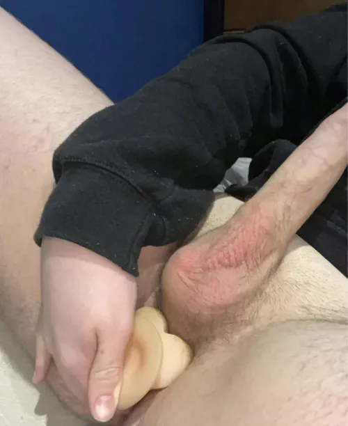 My favourite pic atm x