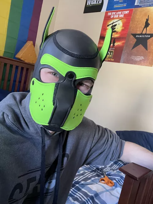 My first hood is here!