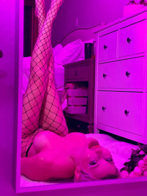 My first pair of fishnets! What do you think?