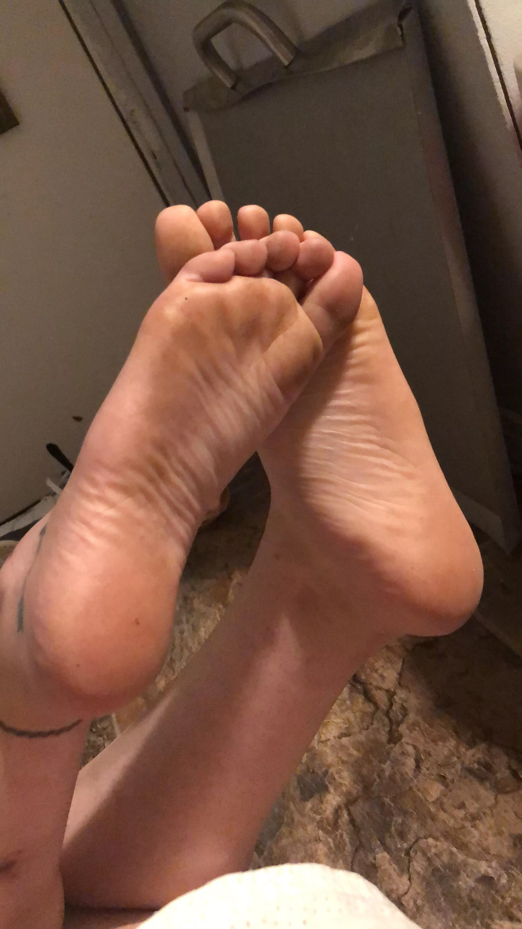 My first post here !! Do you like my wrinkles ?? Are they cute? ☺️