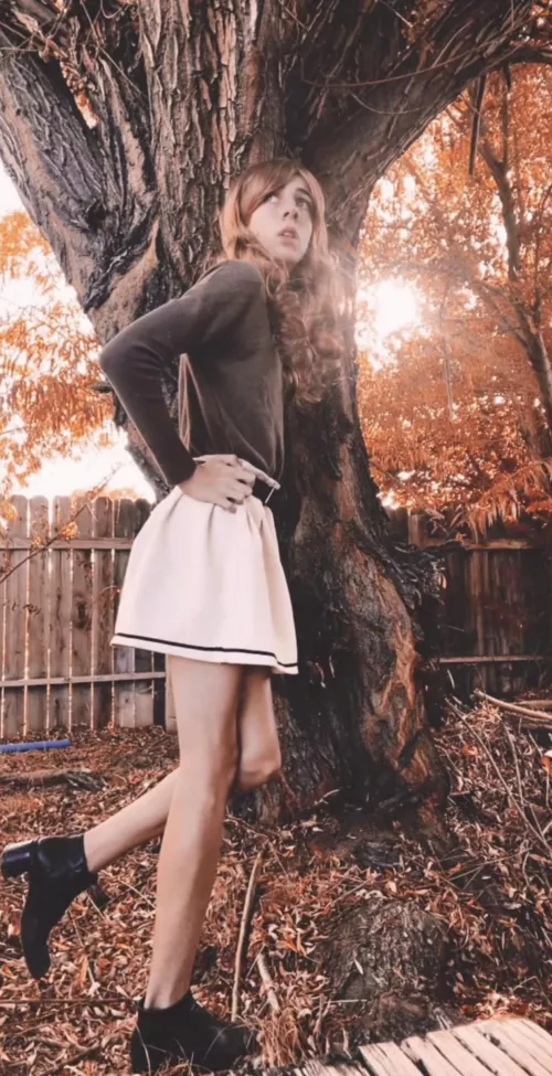 My first post, heres a fall photo that I took please be nice I’m like super sensitive 🤣 My first post, heres a fall photo that I took please be nice I’m like super sensitive 🤣