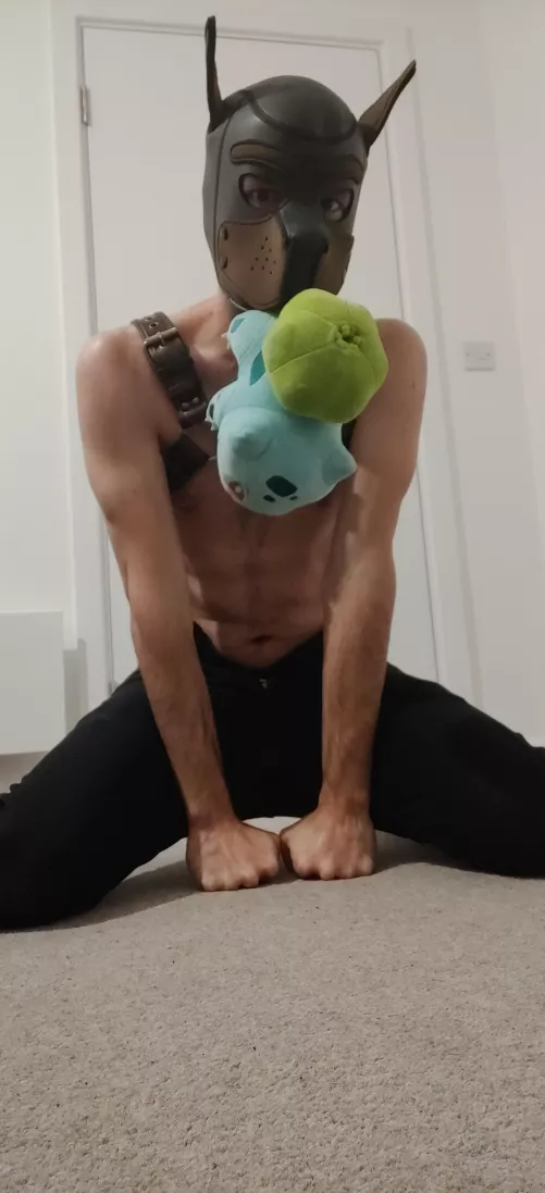 My first set of gear just arrived! First time with the hood on, how do I look? I am so excited! Wruff 🐾🐶