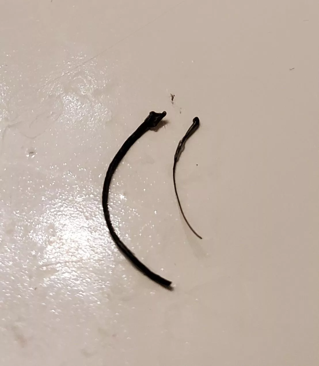 My friend’s thick beard hair he pulled out compared to a normal one