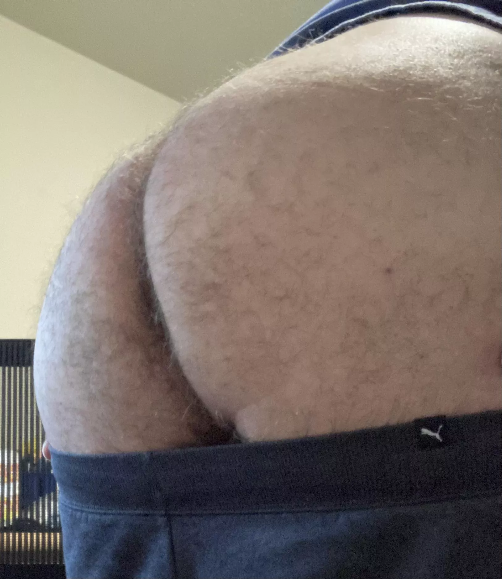My furry butt