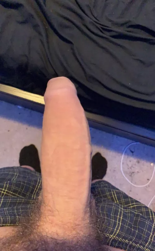 My giant ๐