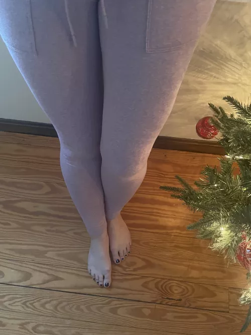 My gift 🎁 to you ….