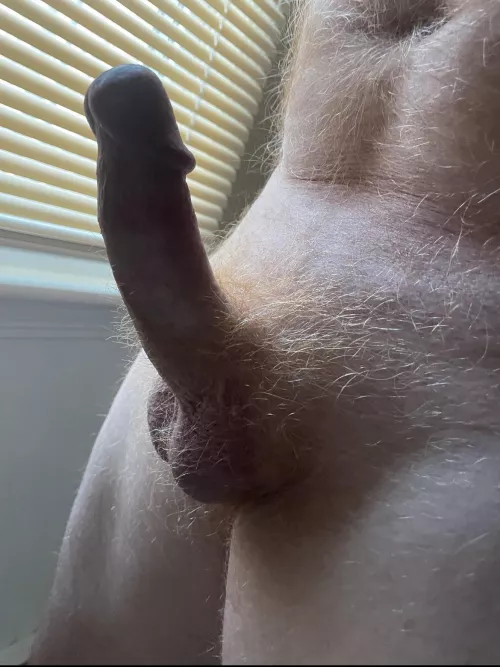 My ginger pubes and fur