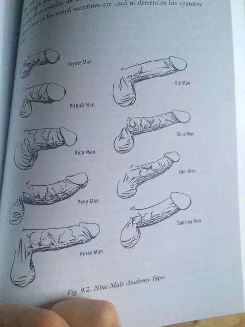 My girlfriend says I'm a deer, which one are you?