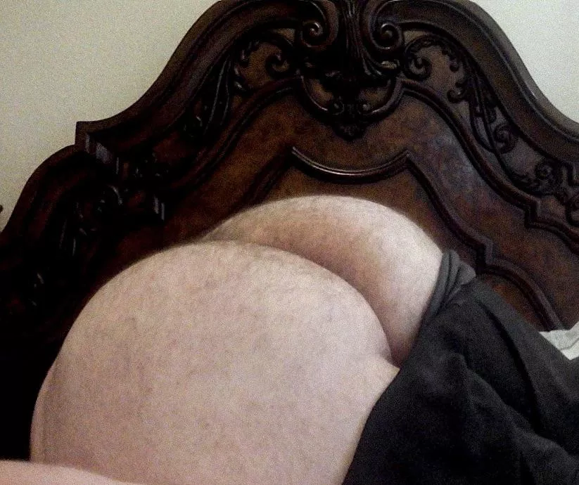 my hairy ass needs to be fucked my hairy ass needs to be fucked