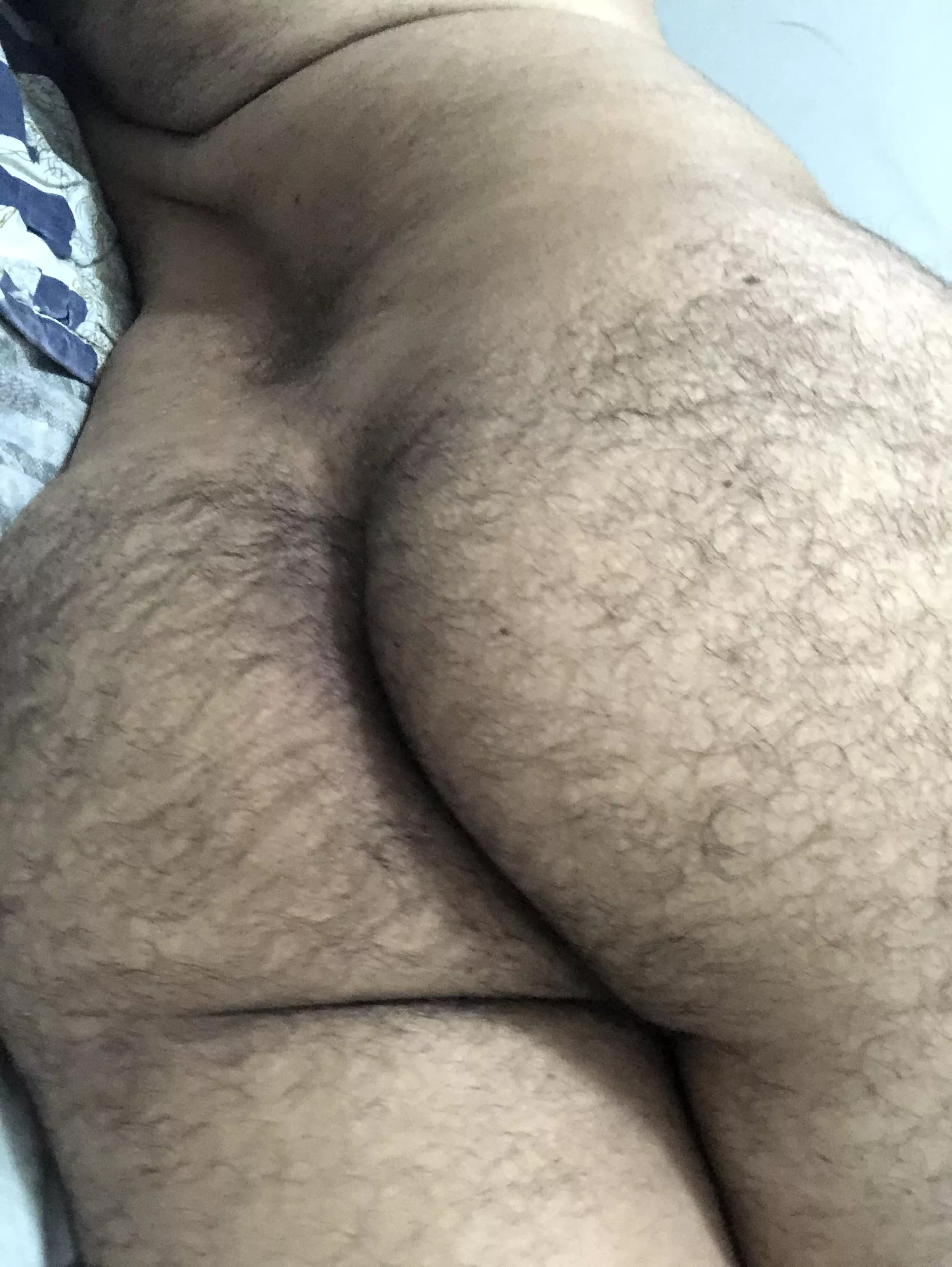 Hairy Ass Gallery