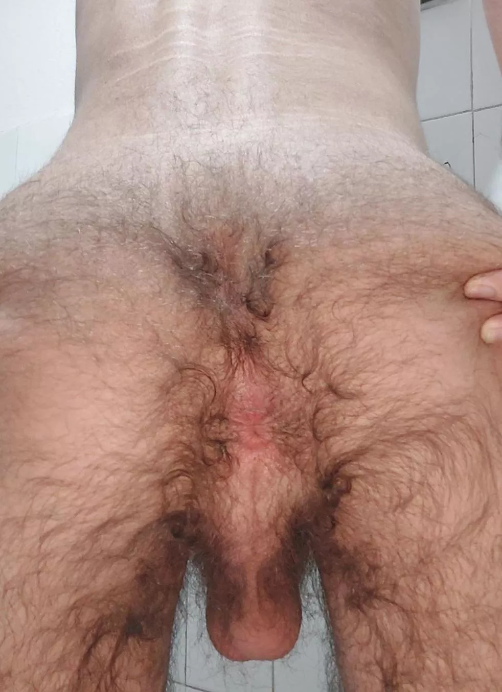 Hairy Asshole Pictures