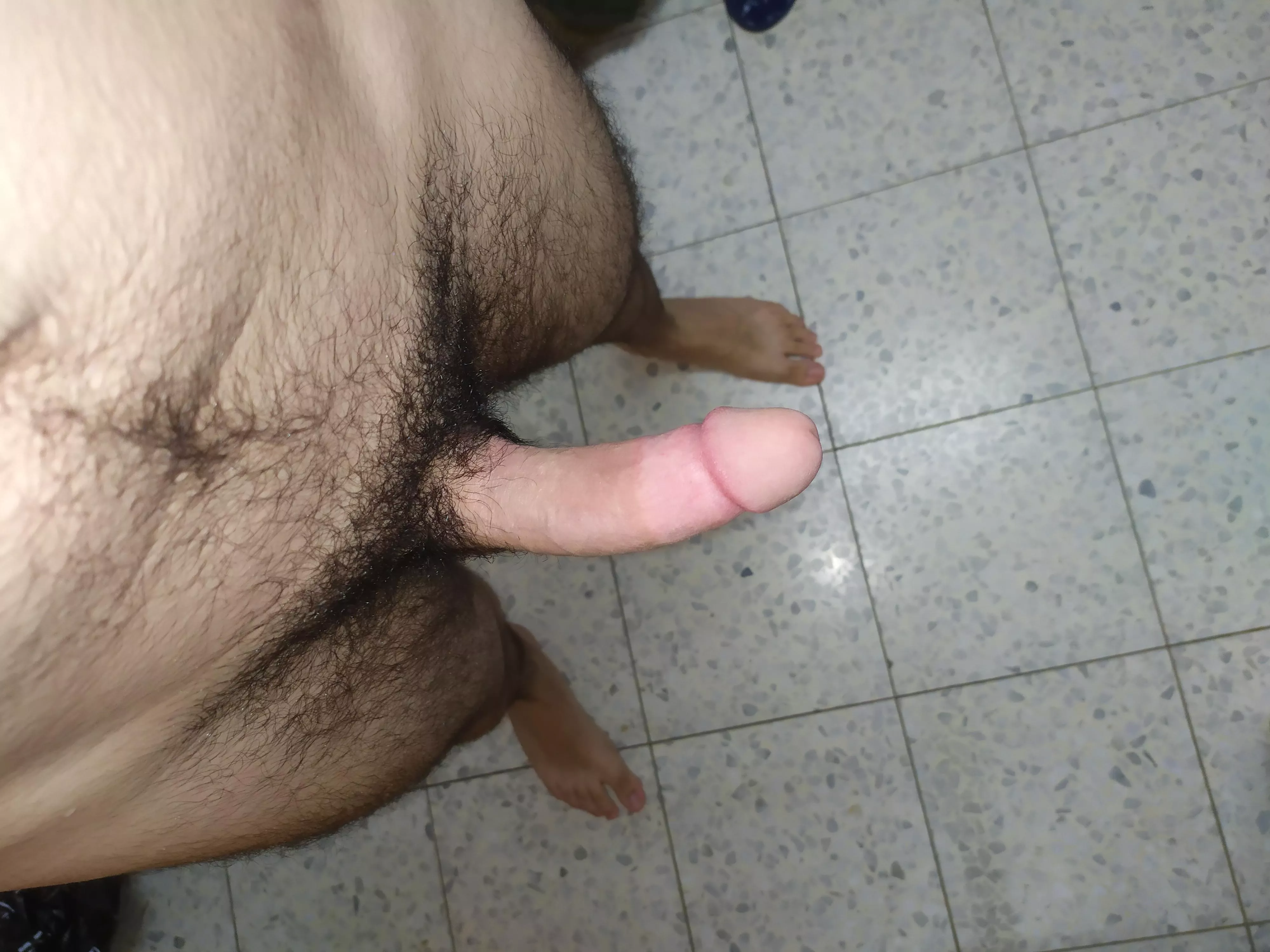 My hairy boy cock My hairy boy cock