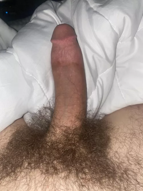 My hairy cock