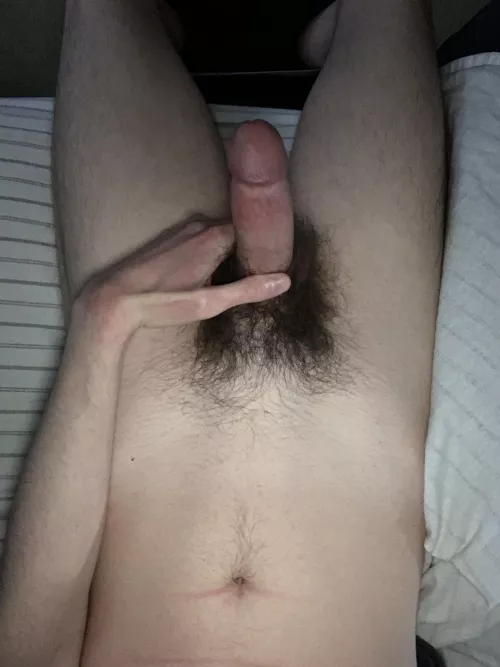 My hairy cock š