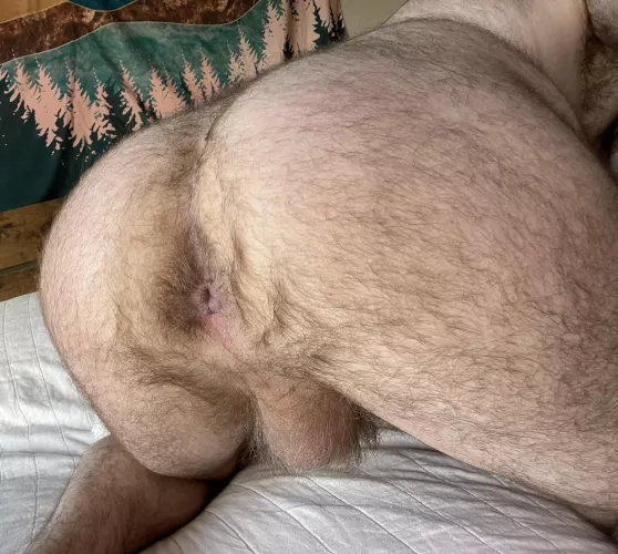My hairy hole after getting fucked today. What would you do to it?