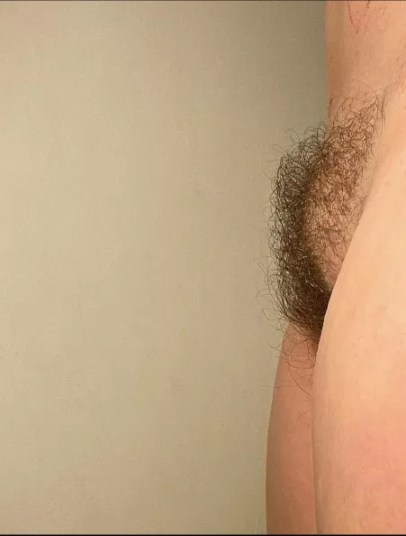 My *hairy* mound of Venus My *hairy* mound of Venus