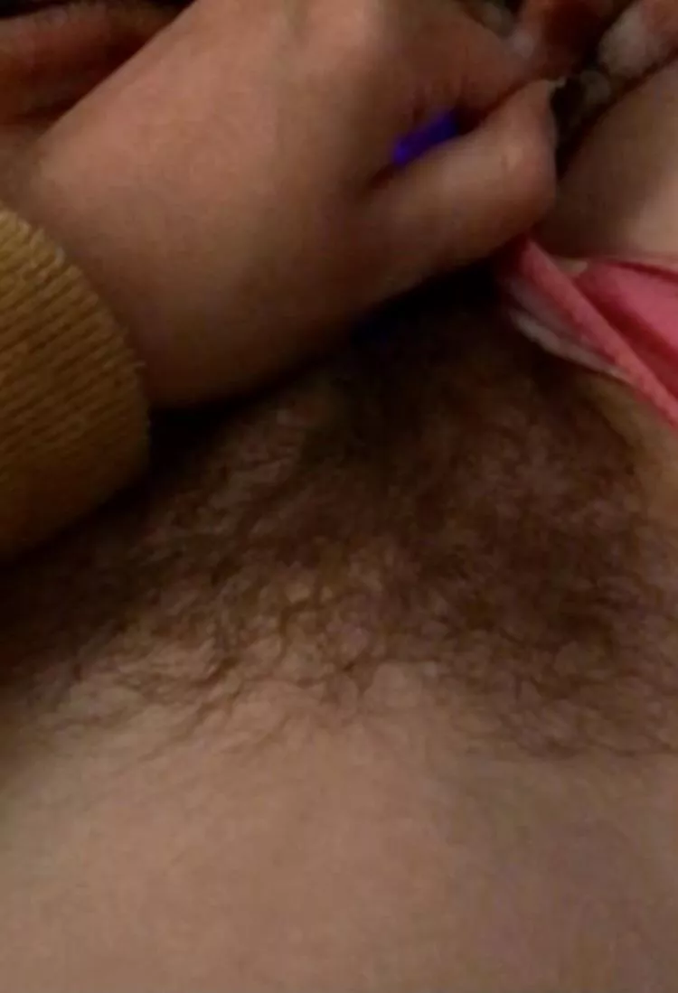 My hairy pussy My hairy pussy